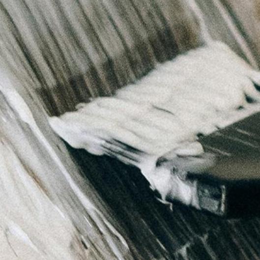 Gray Coverage Membership